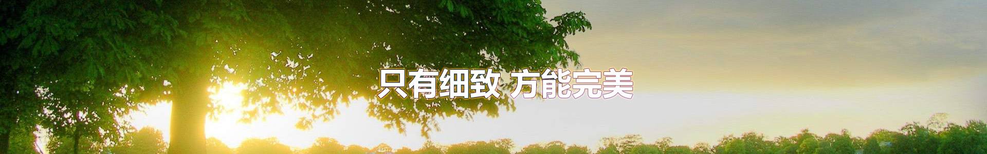 about_04